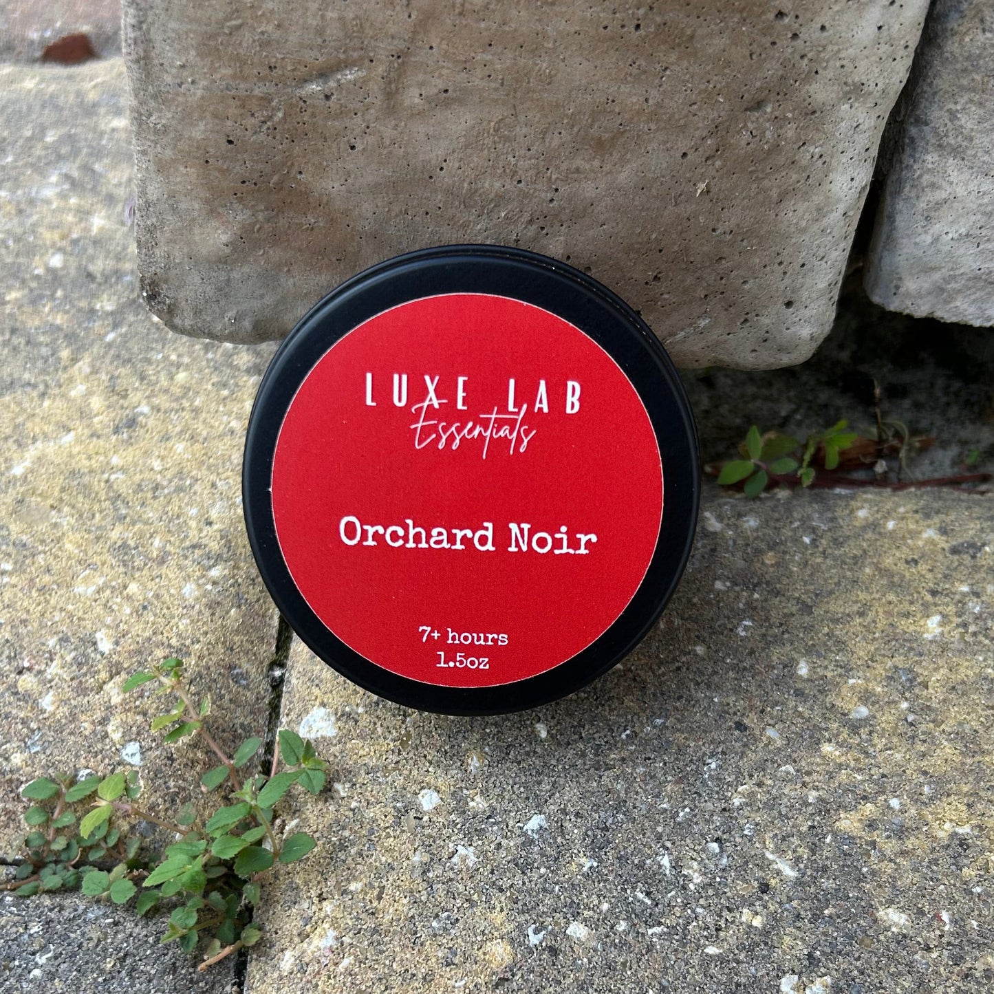 Orchard Noir (mini)