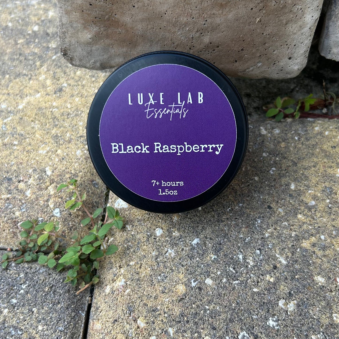 Black Raspberry (mini)